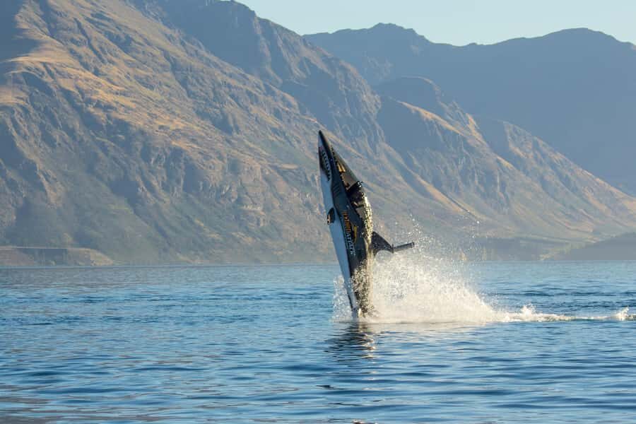 Queenstown: Hydro Attack Shark Ride - Speed, g-force, and motion sickness: how to choose mild vs wild wisely