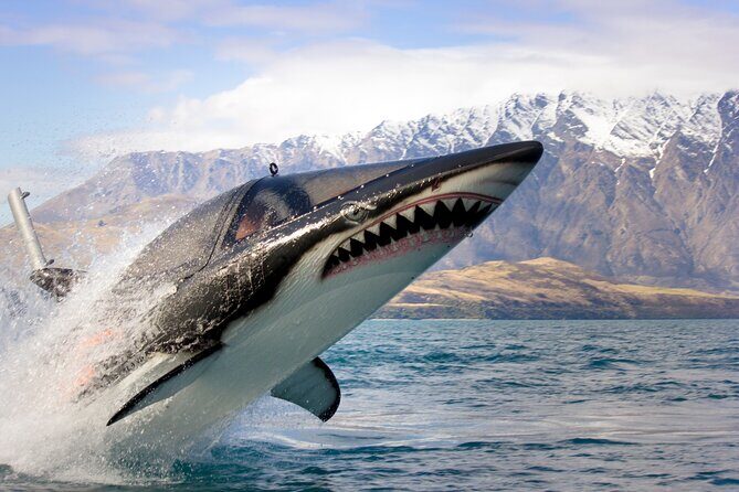 Queenstown Hydro Attack Shark Ride Adventure - Key things to know before you go