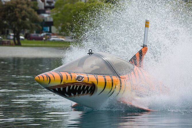 Queenstown Hydro Attack Shark Ride Adventure - When to ride: calmer water can make the whole thing better