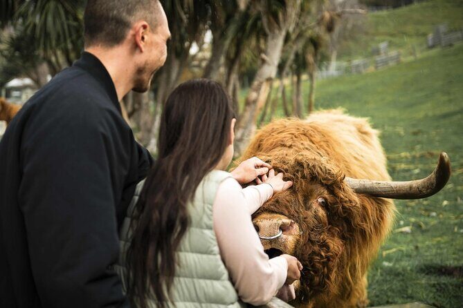 Queenstown Lake Cruise and Walter Peak Farm Adventure - Key things that make this tour worth your time