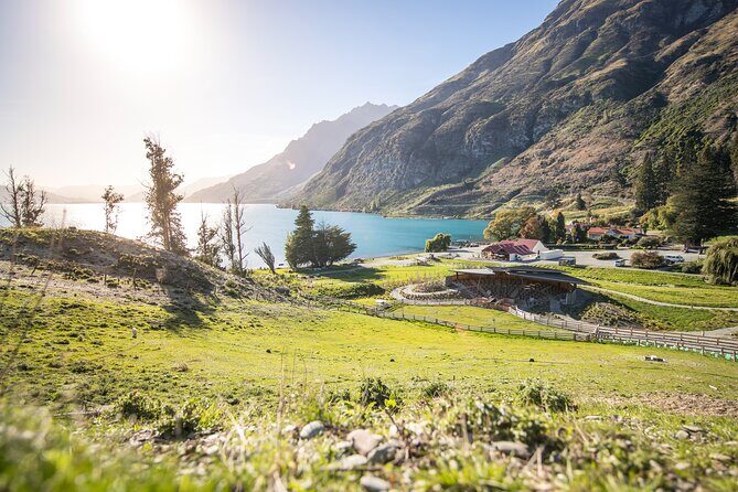 Queenstown Lake Cruise and Walter Peak Farm Adventure - Afternoon tea at the homestead: the break that makes the day feel worth it