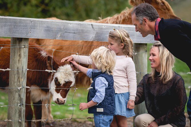 Queenstown Lake Cruise and Walter Peak Farm Adventure - What the TSS Earnslaw experience is really like (and what to expect if it changes)