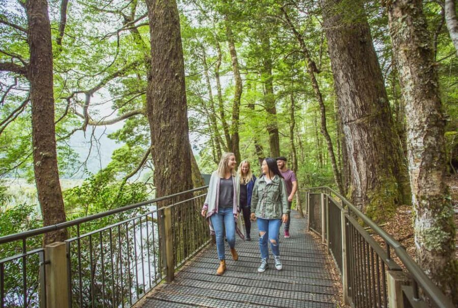 Queenstown: Milford Sound Coach & Cruise Full-Day Trip - The Big Draw: Why This Milford Sound Day Trip Works