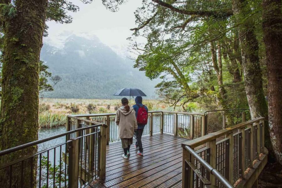 Queenstown: Milford Sound Coach & Cruise Full-Day Trip - Value for Money: Is $144 Actually a Deal?