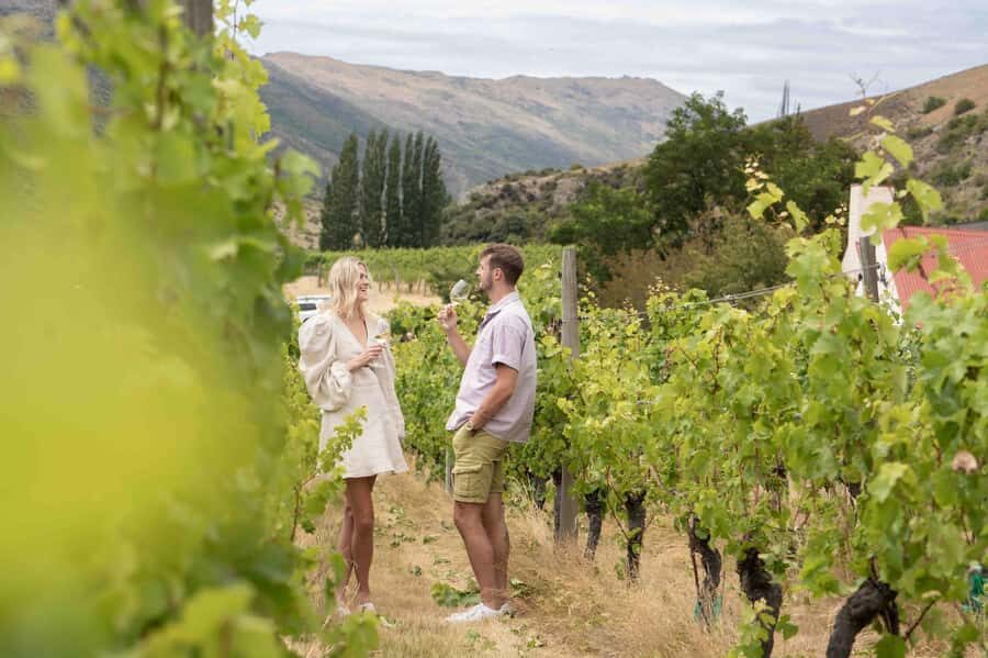 Queenstown: Original Premium Half-Day Gibbston Wine Tour - Key Points You’ll Care About