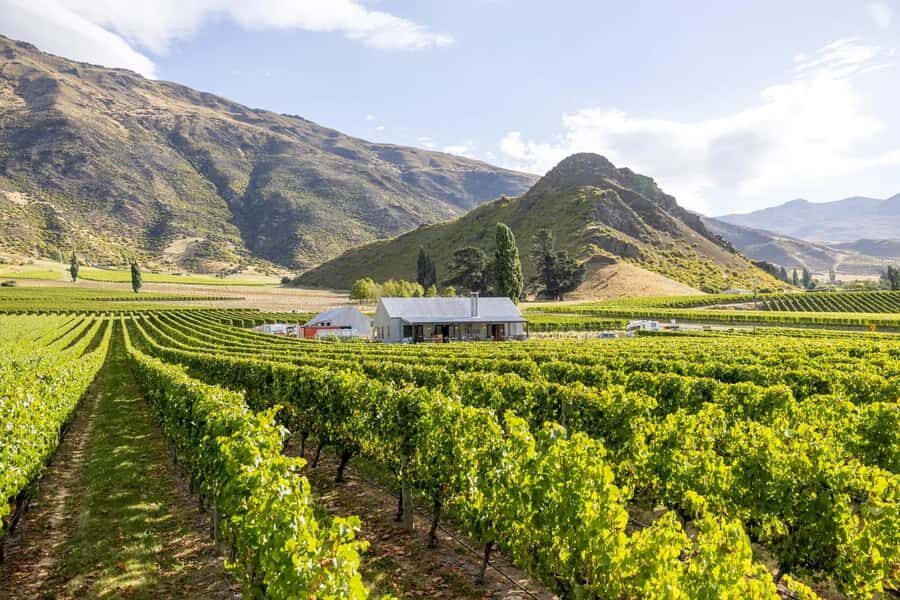 Queenstown: Original Premium Half-Day Gibbston Wine Tour - The Central Otago Context Your Guide Brings Into Every Pour