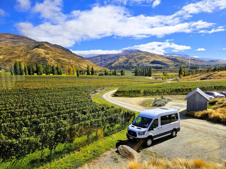 Queenstown: Premium Full-Day Central Otago Wine Tasting Tour - From Camp Street to Central Otago: the day’s flow makes it work