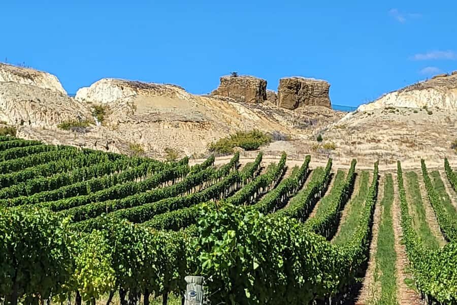 Queenstown: Premium Full-Day Central Otago Wine Tasting Tour - Te Kano Estate and Bannockburn: tasting after lunch keeps the comparisons honest