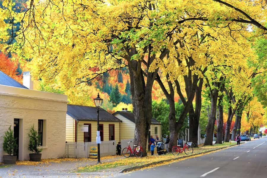 Queenstown: Premium Full-Day Central Otago Wine Tasting Tour - Arrowtown and Old Cromwell: small photo stops with big atmosphere