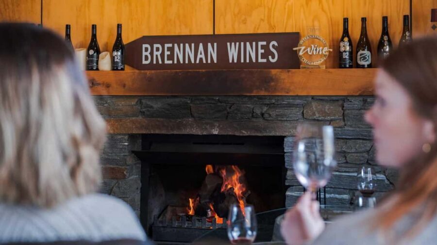 Queenstown: Premium Wine Tasting Tour - Key highlights