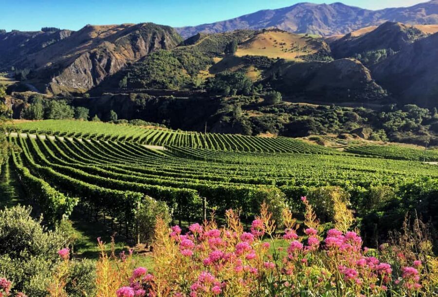 Queenstown: Premium Wine Tasting Tour - Who should book this tour?