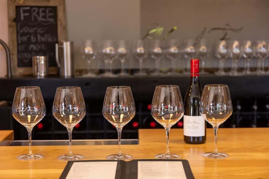 Queenstown: Premium Wine Tasting Tour - Cellar door experiences: why a host-led tasting changes everything