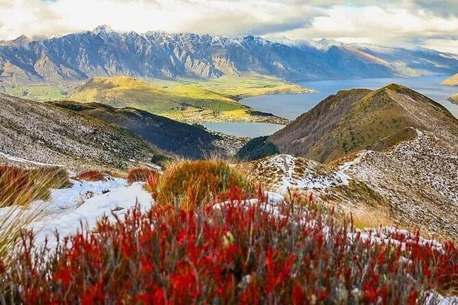 Queenstown Private Airport Transfer: Door to Door Service - First Contact in Queenstown: Finding Your Driver Without Guesswork