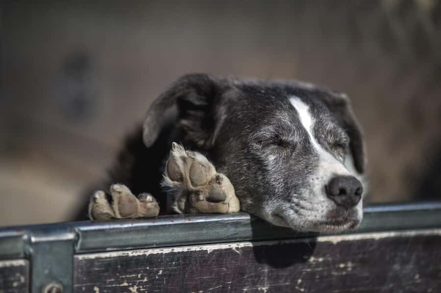 Queenstown: Queenstown Lake Cruise and Walter Peak Farm Tour - Small Hiccups to Plan For (So You Stay Relaxed)