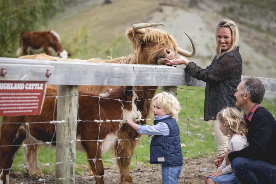 Queenstown: Queenstown Lake Cruise and Walter Peak Farm Tour - From Steamer Wharf to Walter Peak: A 3.5-Hour Plan That Moves
