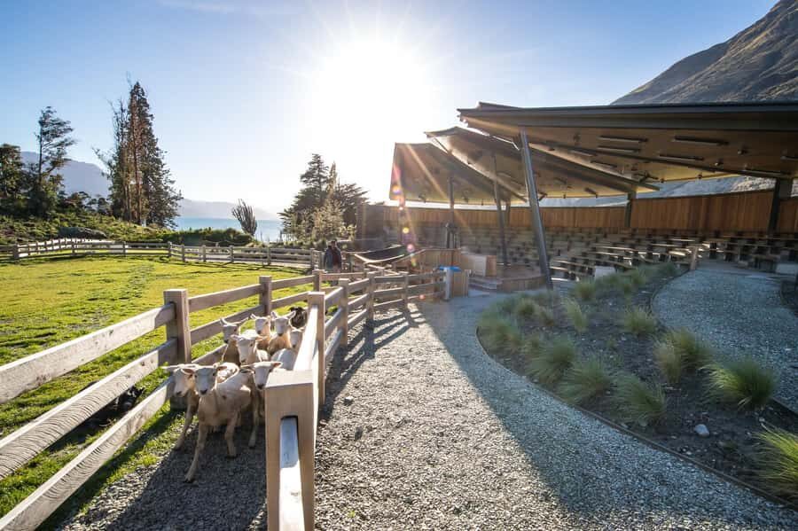 Queenstown: Queenstown Lake Cruise and Walter Peak Farm Tour - Walter Peak High Country Farm Tour: Meet the Animals Up Close