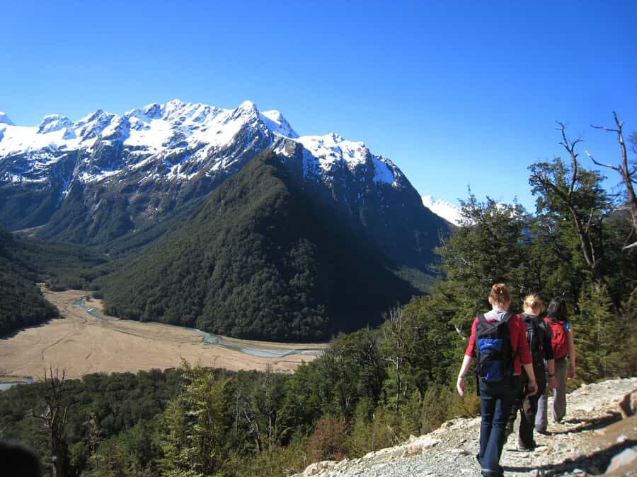 Queenstown: Routeburn Track Guided Full-Day Walk or Half Day - Key highlights you’ll feel fast