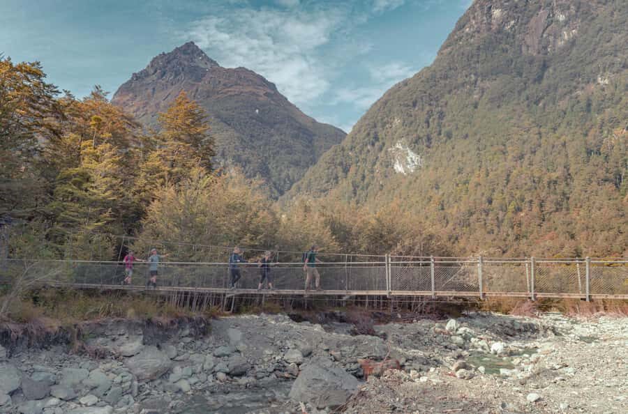 Queenstown: Routeburn Track Guided Full-Day Walk or Half Day - Routeburn Track in a Single Day: why it’s worth the time