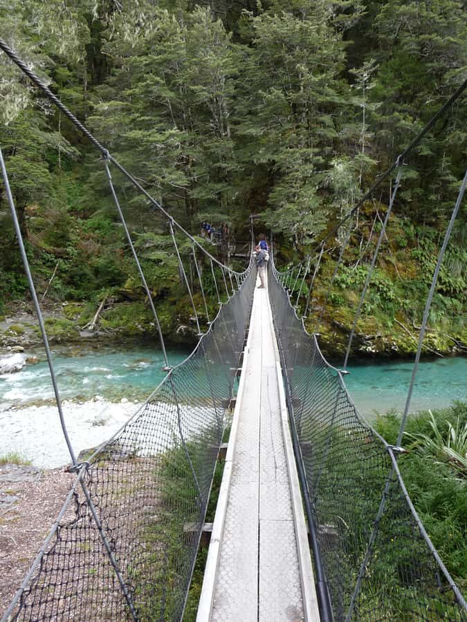 Queenstown: Routeburn Track Guided Full-Day Walk or Half Day - Alpine gardens, tarns, and those big peak views
