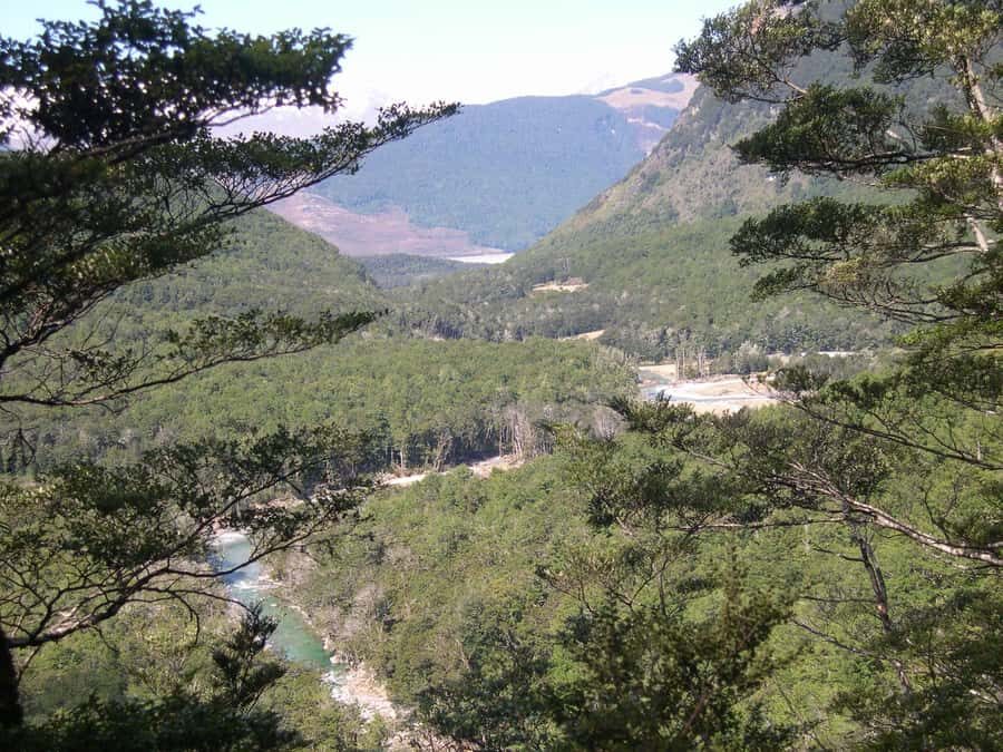 Queenstown: Routeburn Track Guided Full-Day Walk or Half Day - Half-Day Routeburn: a lower-effort taste with snacks included