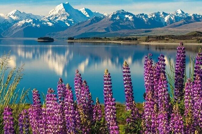 Queenstown to Christchurch One Way Tour Via Lake Tekapo & Mt Cook - Aoraki/Mt Cook Visitor Centre and the lunch with glacier views