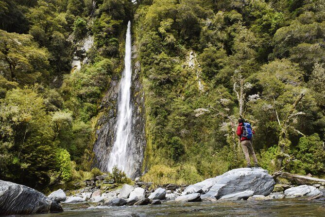 Queenstown to Christchurch via Franz Josef 2-Day Small-Group Tour - Price and value: what $359.93 is buying you