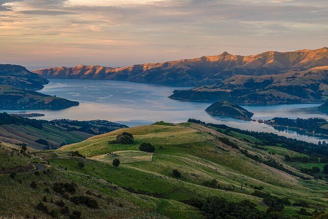 Queenstown to Christchurch via Mt Cook (1 way) (Small Group) - Omarama and the Sheep Statue: The Mackenzie Interlude