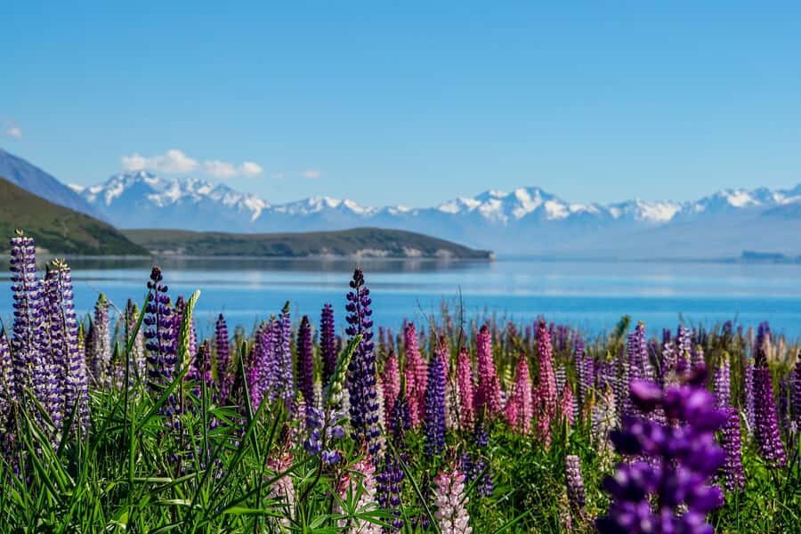 Queenstown to Christchurch via Mt Cook One-Way Tour - Across the Canterbury Plains to Christchurch’s drop-off