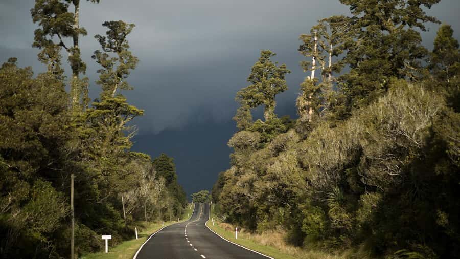 Queenstown to Franz Josef Day Tour - Should You Book This Queenstown to Franz Josef Day Tour?