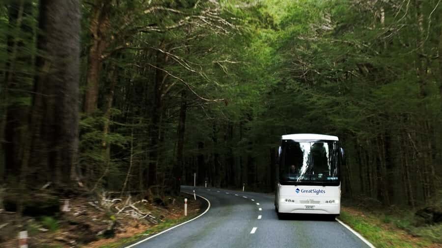 Queenstown to Franz Josef Day Tour - Haast Pass: The Drive That Makes the Whole Day Click