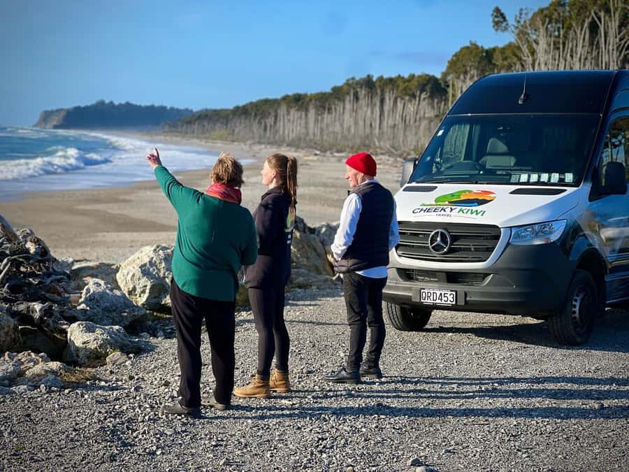 Queenstown to Franz Josef small group tour (one-way) - Ship Creek and Bruce Bay: short coastal breaks with photo value