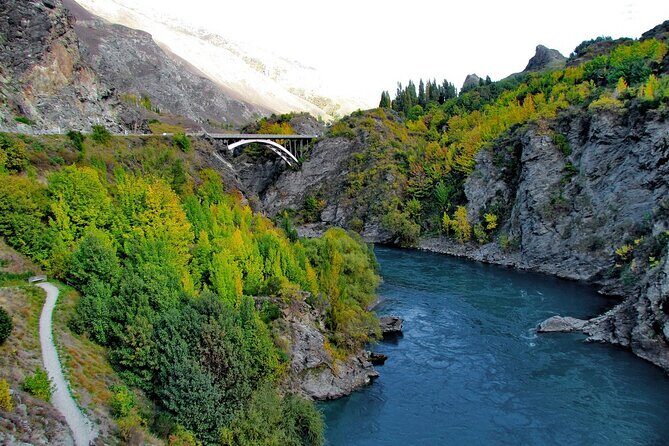Queenstown to Franz Josef via Wanaka Small Group Day Tour (1-Way) - Stop 2 and 3: Wānaka Tree photos and the Lake Hāwea break