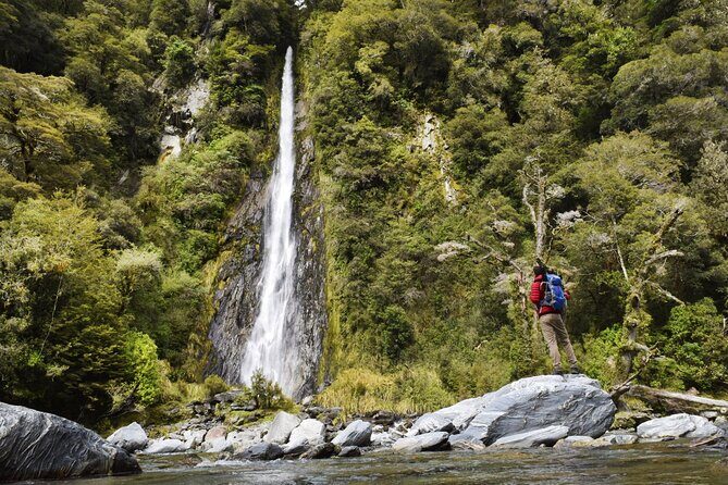 Queenstown to Franz Josef via Wanaka Small Group Day Tour (1-Way) - Stop 5: Thunder Creek Falls for a quick waterfall hit