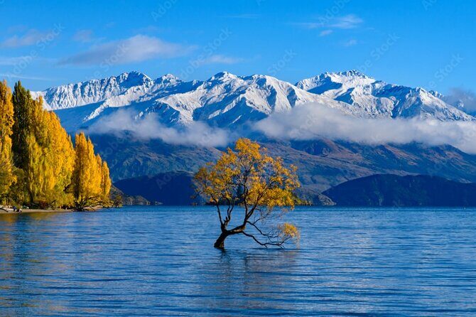 Queenstown to Franz Josef via Wanaka Small Group Day Tour (1-Way) - Stop 6: Ship Creek Walks and the Tasman Sea crash