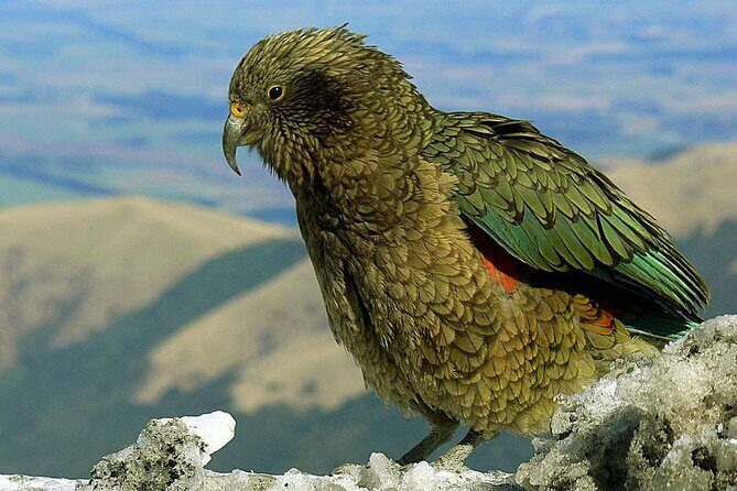 Queenstown to Lake Tekapo via Mt Cook One-Way Small Group Tour - Aoraki/Mt Cook National Park: using your 3 hours well