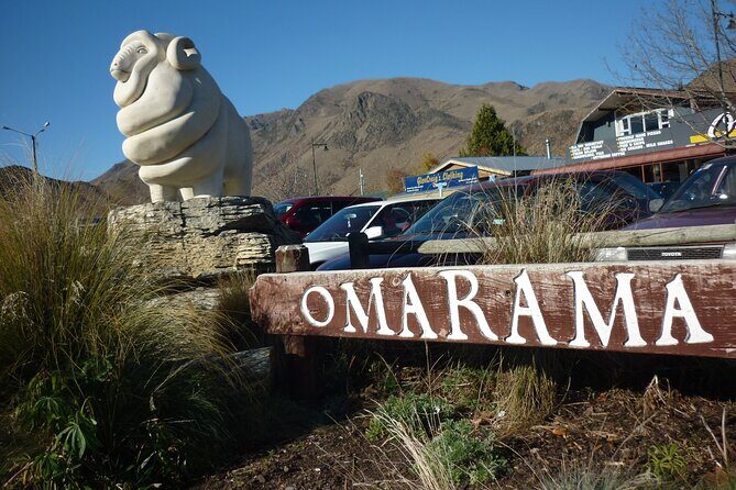 Queenstown to Lake Tekapo via Mt Cook One-Way Small Group Tour - Hooker Valley vs glacier lookouts: pick your style of walking
