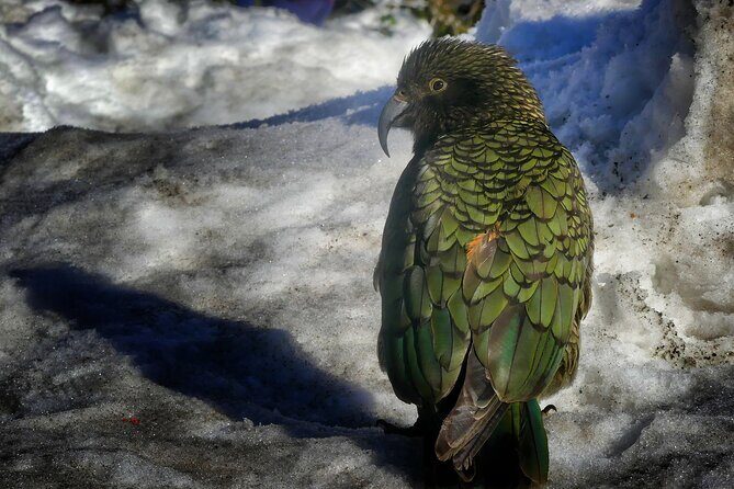 Queenstown to Mt Cook Small Group Tour (One-Way) - Kawarau Gorge and Roaring Meg: The First Real Payoff