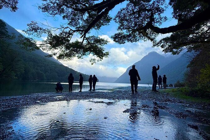 Queenstown to Te Anau via Milford Sound inc Cruise & Lunch - A Mercedes van day that feels made for Fiordland