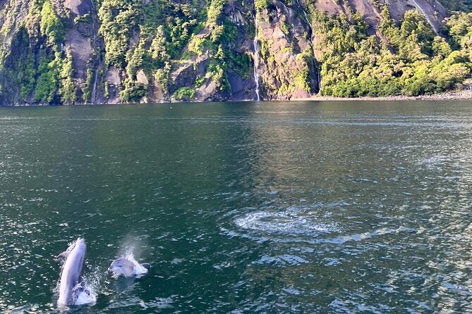Queenstown to Te Anau via Milford Sound inc Cruise & Lunch - Who this tour suits best