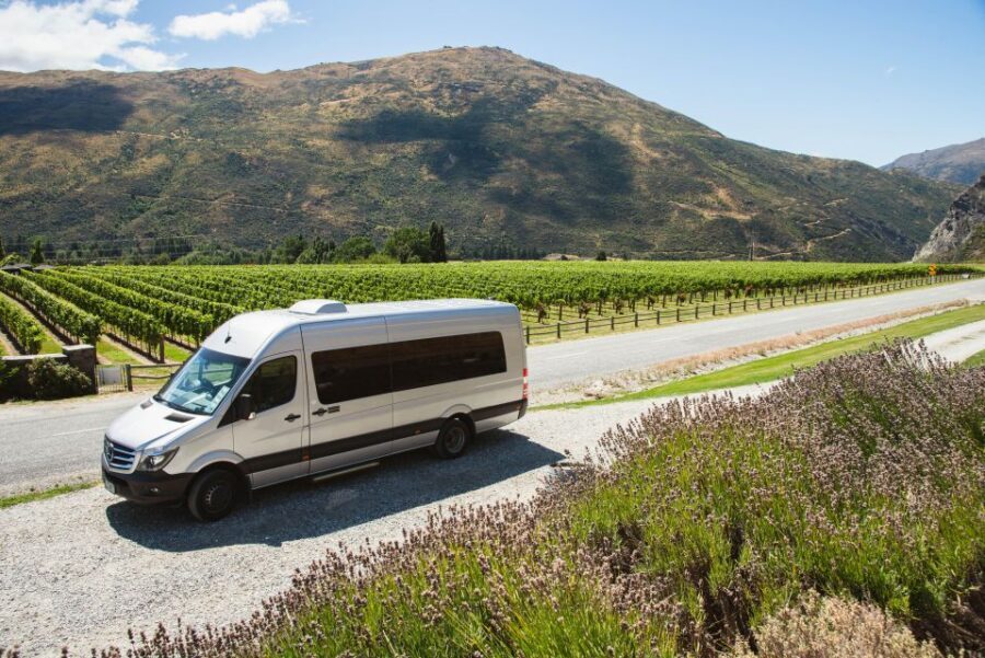 Queenstown: Twilight Wine and Craft Beer Tour - Why this late-afternoon tour fits Queenstown’s pace