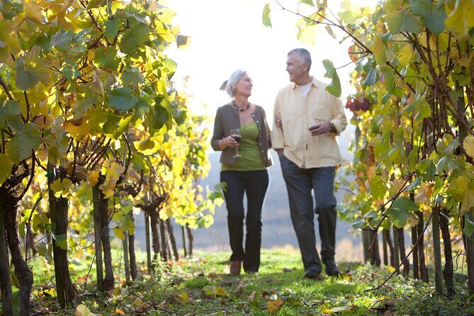 Queenstown VIP Wine Drop and Hop Tour - Budgeting tips so the day stays fun (not stressful)