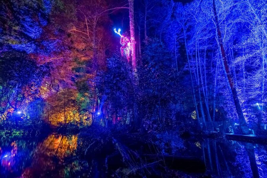 Queenstown: Whimsical Sensory Night Walk at LUMA Enchanted - Key things to know before you go