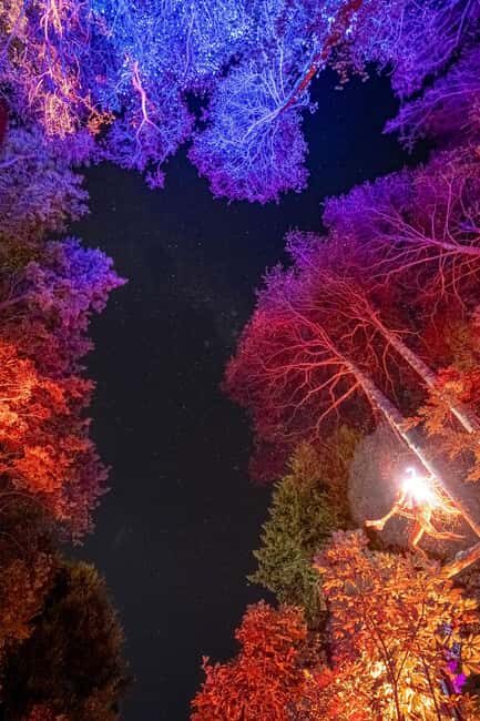 Queenstown: Whimsical Sensory Night Walk at LUMA Enchanted - LUMA Enchanted in Kiwi Park: a light-walk you can feel