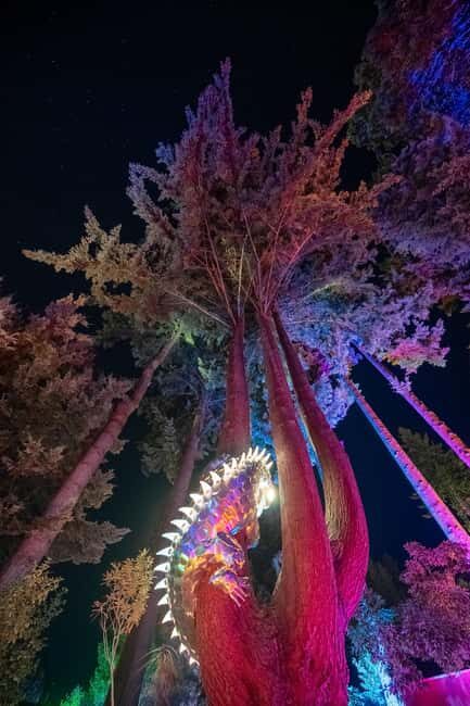 Queenstown: Whimsical Sensory Night Walk at LUMA Enchanted - The five-acre forest story: how the walk unfolds