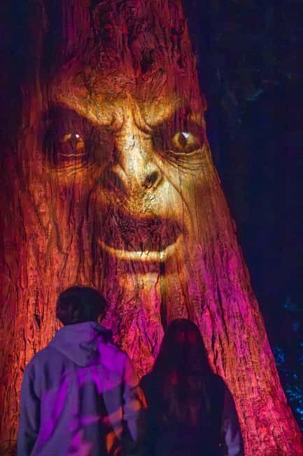 Queenstown: Whimsical Sensory Night Walk at LUMA Enchanted - Light, sound, and touch: the sensory moments that make it different