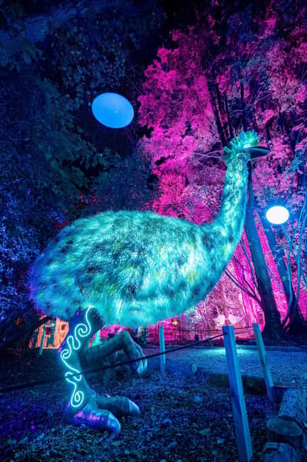 Queenstown: Whimsical Sensory Night Walk at LUMA Enchanted - Enchanted Treats: warming drinks and snack value