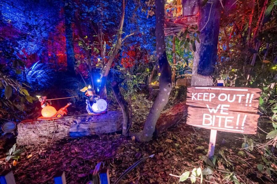 Queenstown: Whimsical Sensory Night Walk at LUMA Enchanted - Price check: is $35 per person good value?
