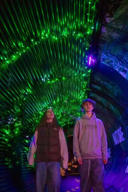 Queenstown: Whimsical Sensory Night Walk at LUMA Enchanted - Should you book LUMA Enchanted?