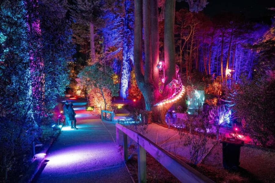 Queenstown: Whimsical Sensory Night Walk at LUMA Enchanted - From the Kiwi Park tunnel to the ticketing area