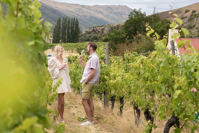 Queenstown Wine & Food Tour: Scenery, Tastings & Delicious Lunch! - How the wine pairing actually works (and how to make it enjoyable)